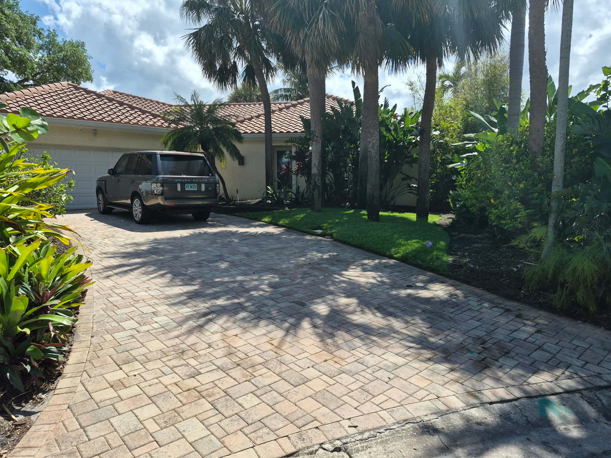 Tropical landscaping with clean driveway edging