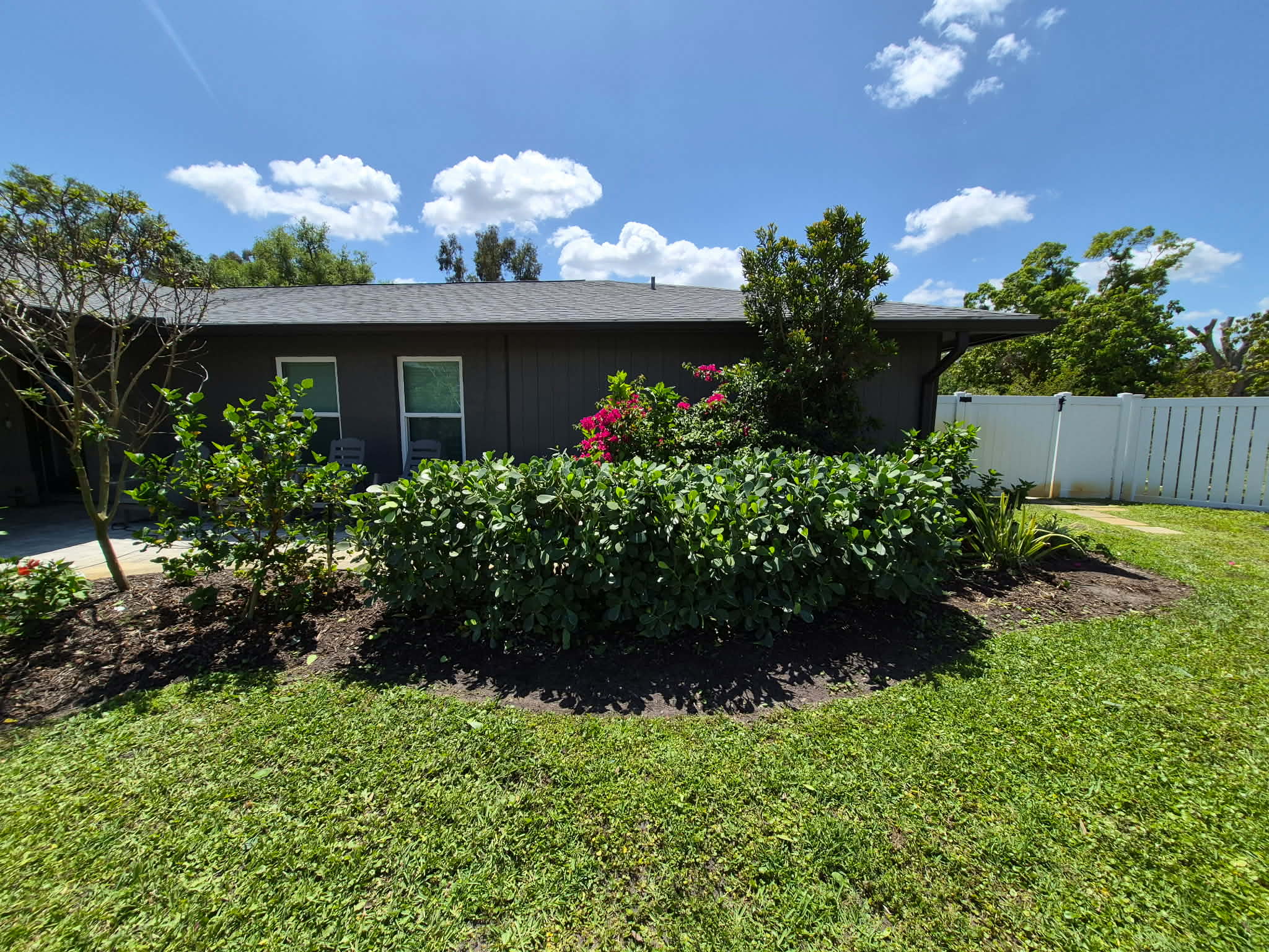 After — rear yard shrub cleanup