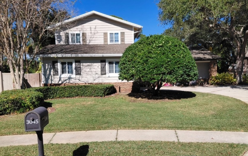 Clean front yard with manicured hedges and tree