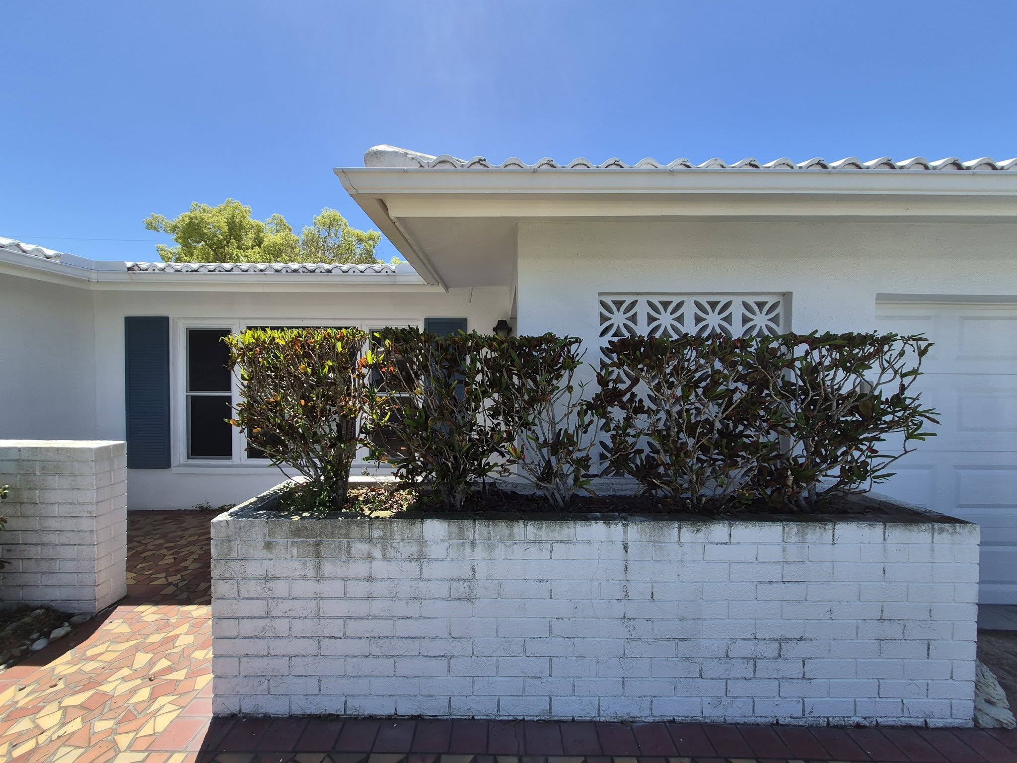 Front planter hedge work